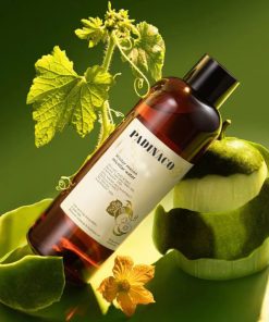 Toner bí đao cân bằng da